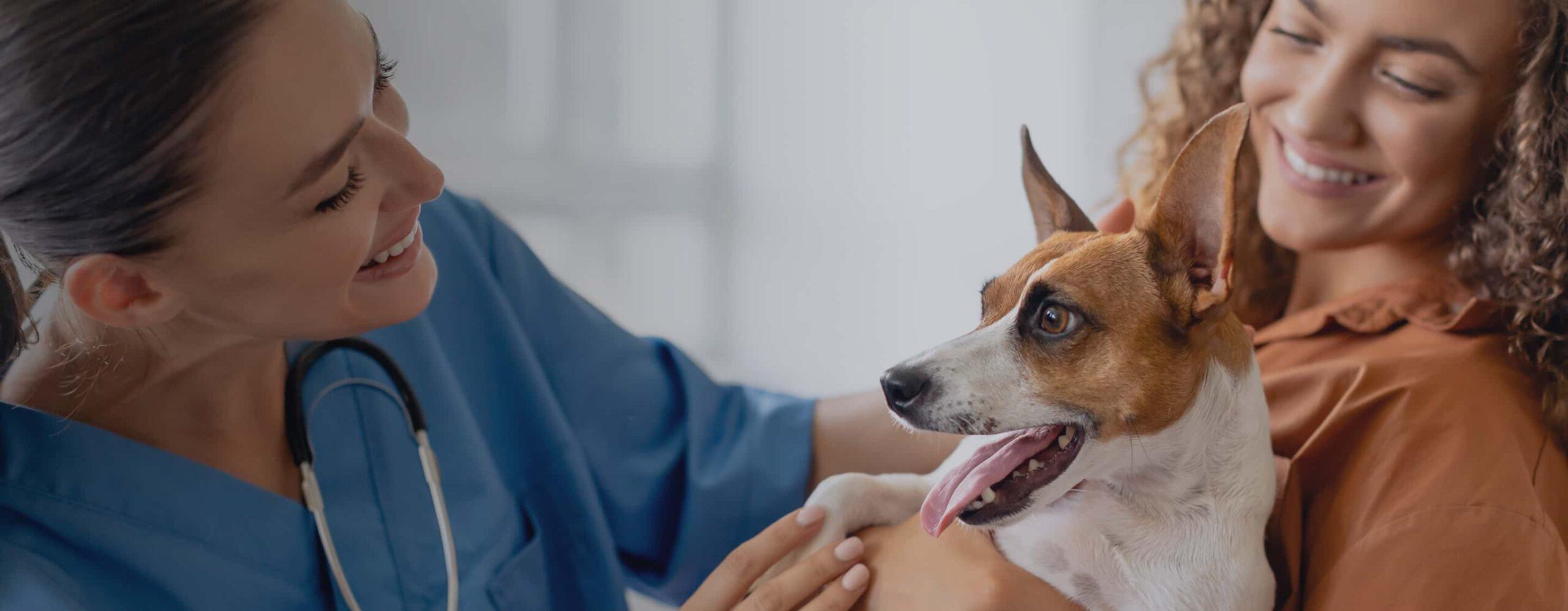 Schedule Appointment